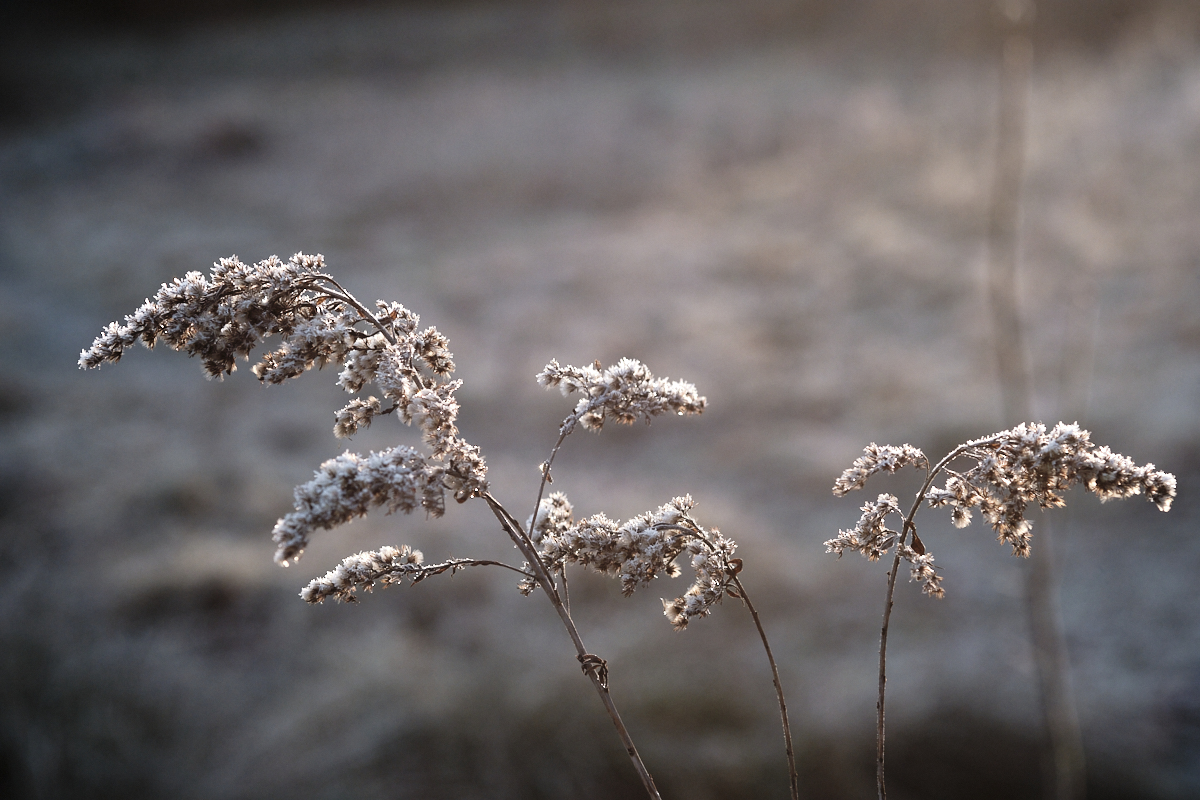 Kdo si hraje ... III.