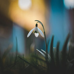 My neverending story)