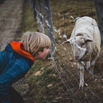 Dnešní radosti :-)