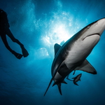 Jihoafrická republika před dvěma týdny