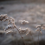 Kdo si hraje ... III.