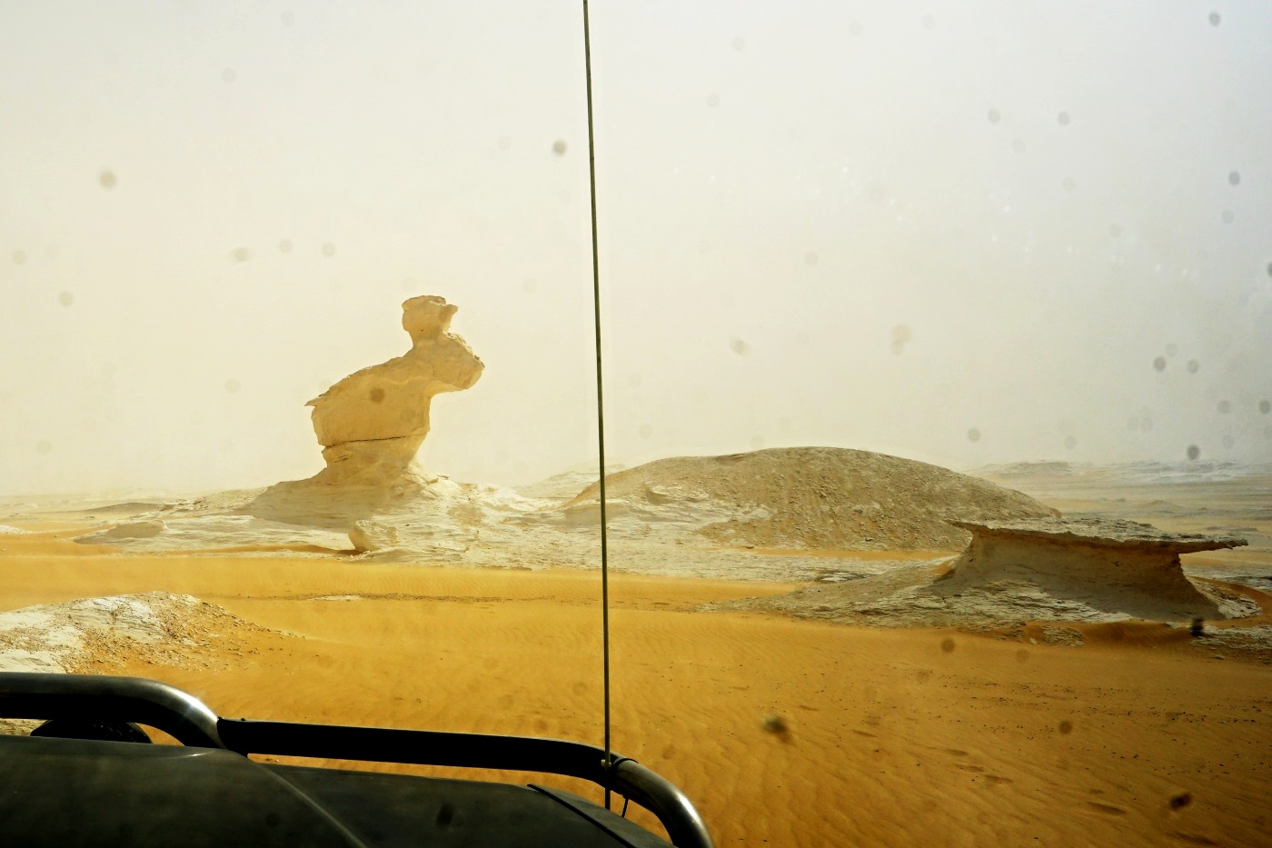 Stopy v krajině. Různé druhy (Viii)