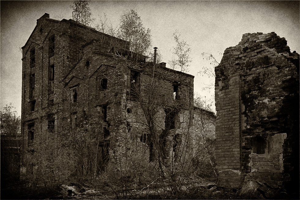 ZONA 009(3)