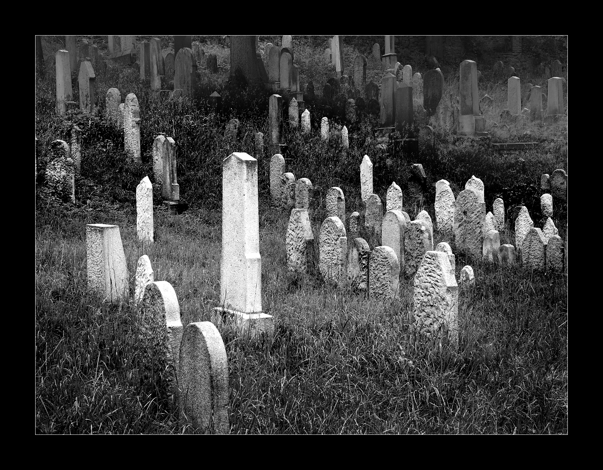 Zahrady ticha a zapomnění 17