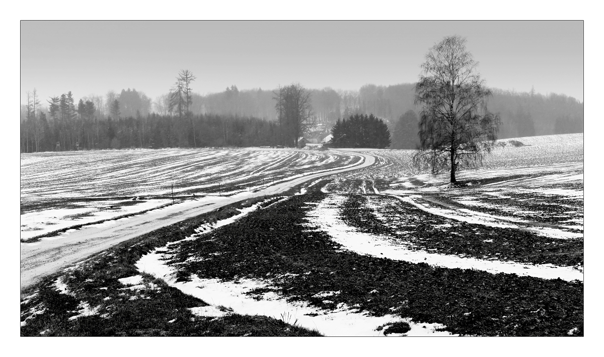Zima se nevzdává !