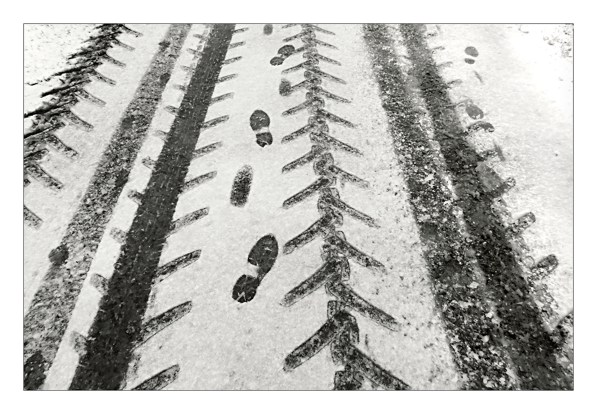 Stopy vedoucí k jaru ?  Snad.....