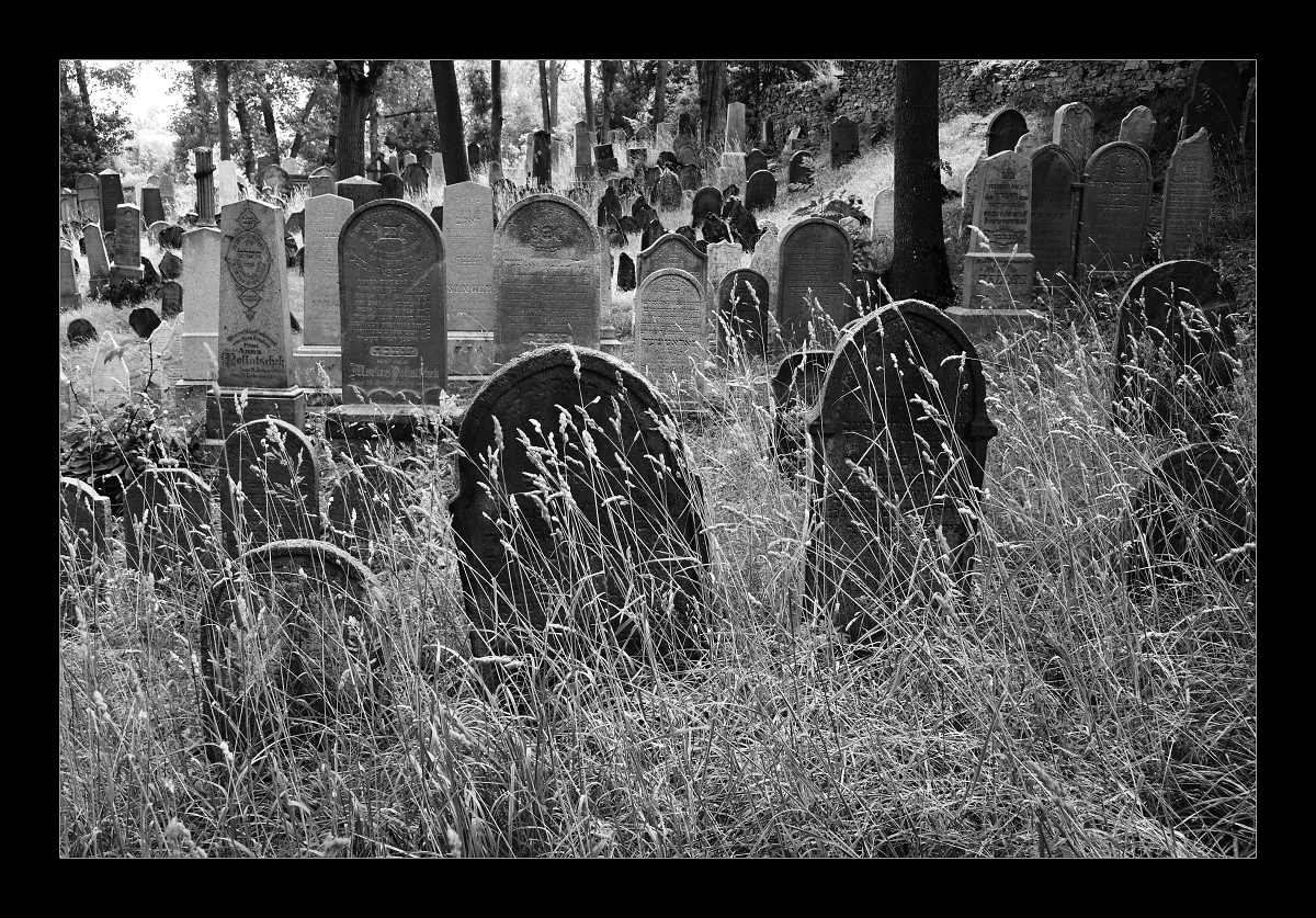 Zahrady ticha a zapomnění