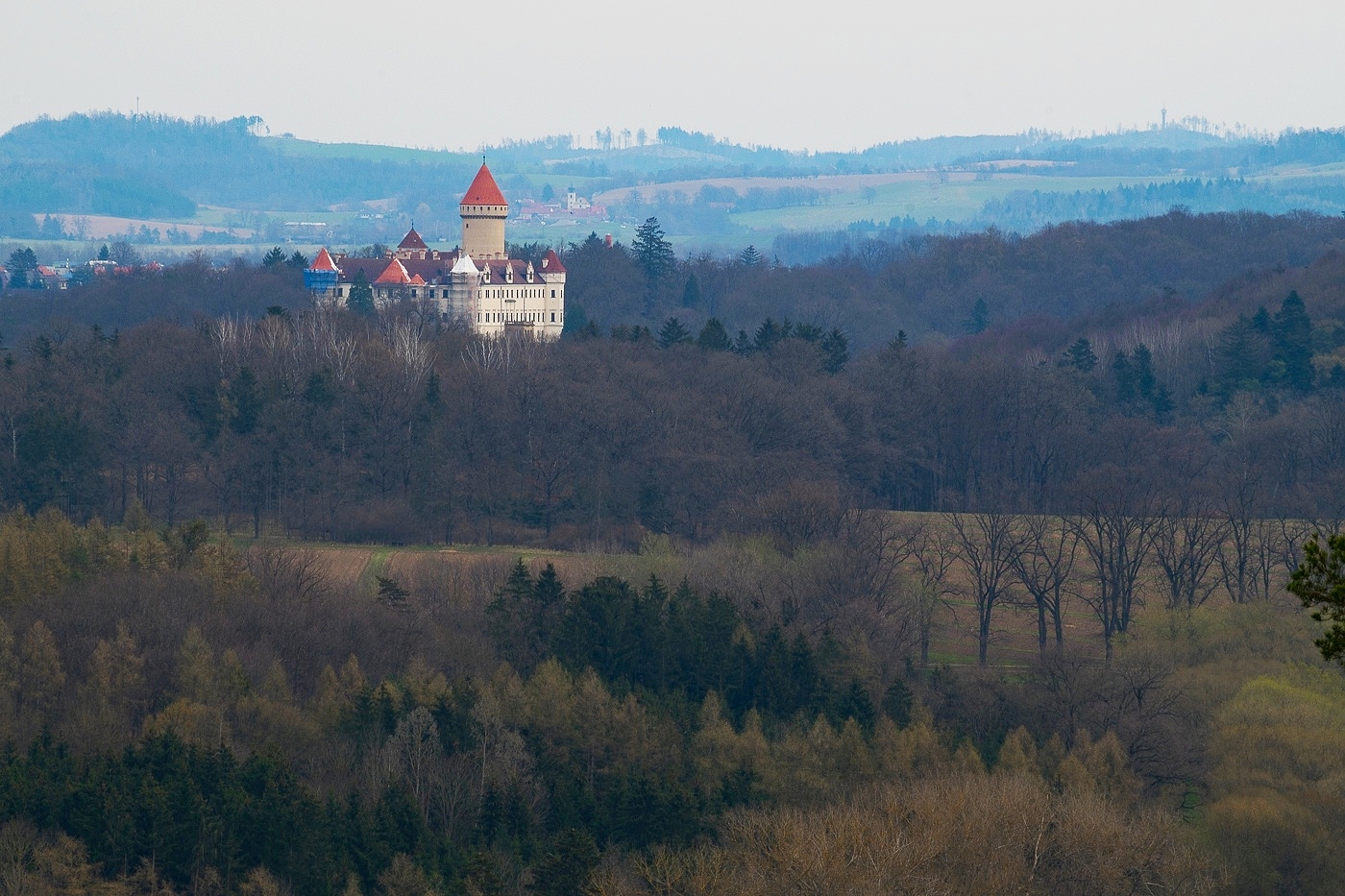 Konopiště z Chlumu