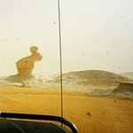 Stopy v krajině. Různé druhy (Viii)