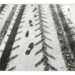 Stopy vedoucí k jaru ?  Snad.....