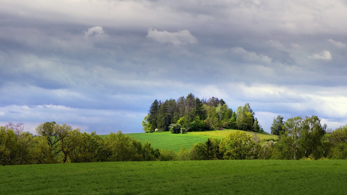 Strážný vrch