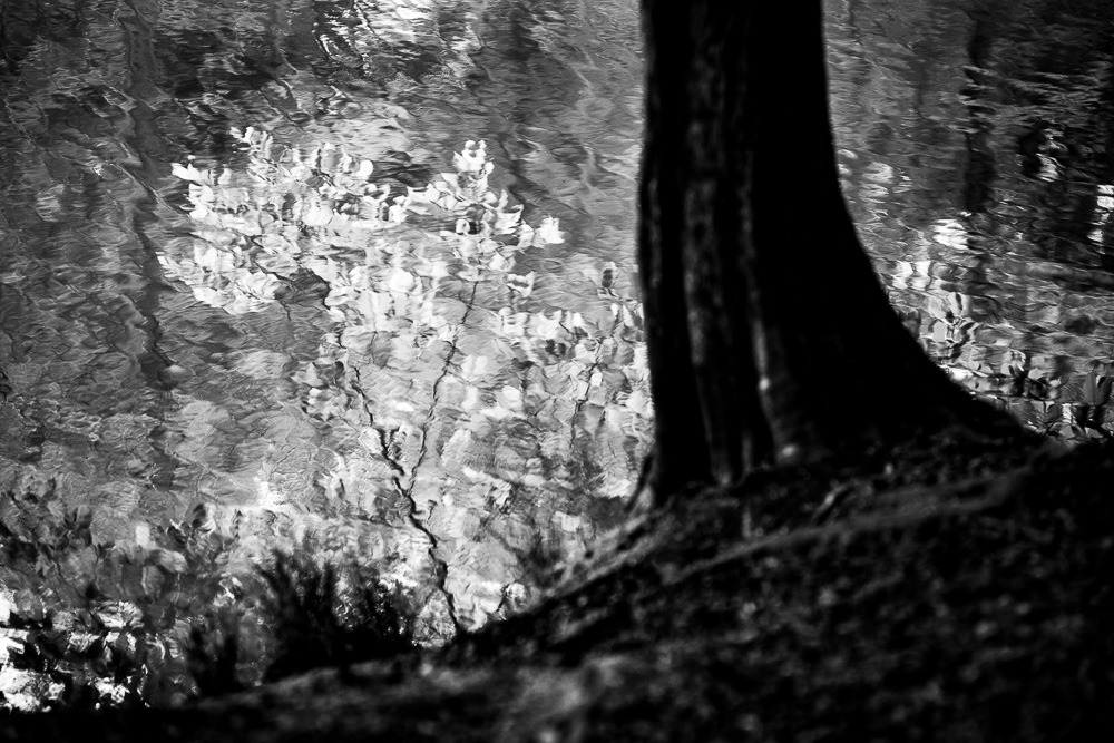 Jarní z Běláku...