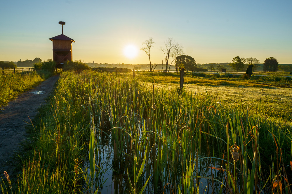 To je tak, kdyz jdete fotit ptaky&kone se sirokacem