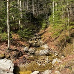 Potok