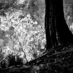 Jarní z Běláku...