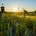 To je tak, kdyz jdete fotit ptaky&kone se sirokacem