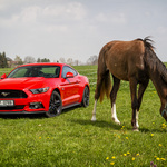 ..:: Hatatitla x2 ::..