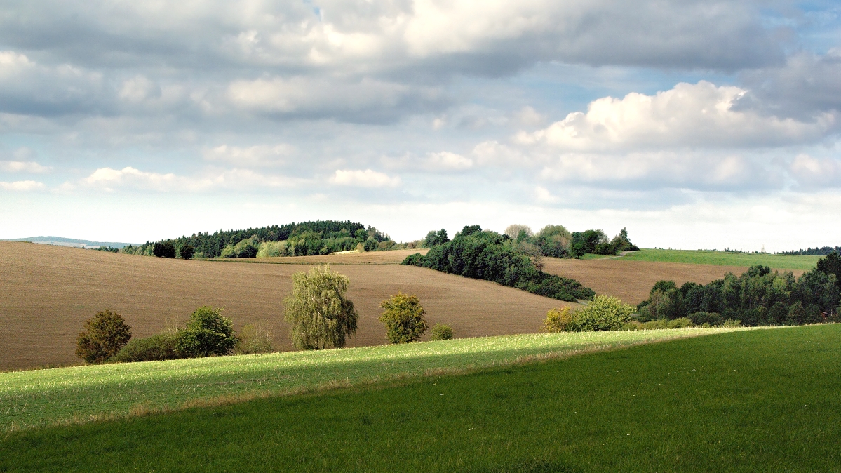 Vysočina u Okrouhličky