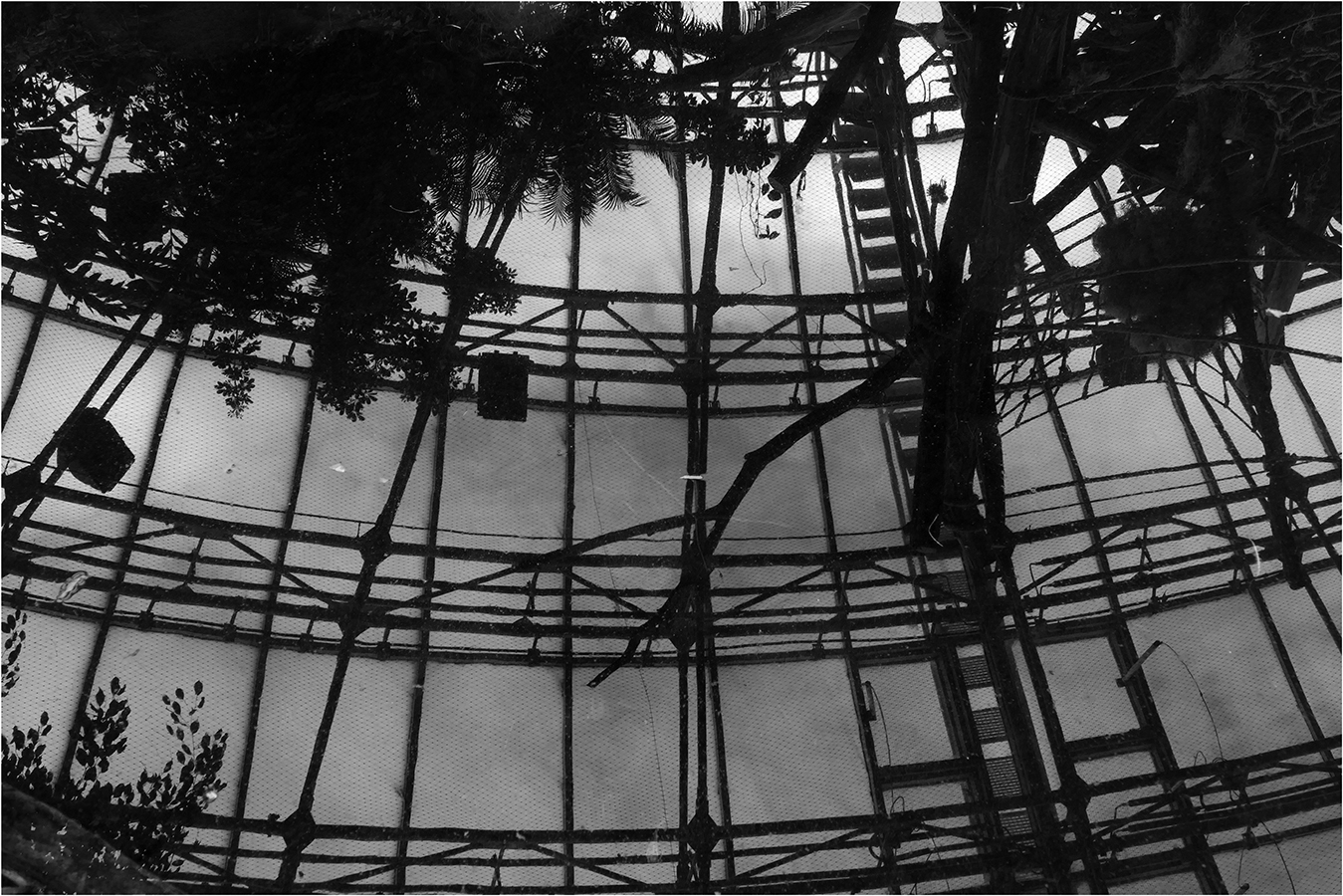 Pavilon - aneb "jen volné nebe nad hlavou mít"