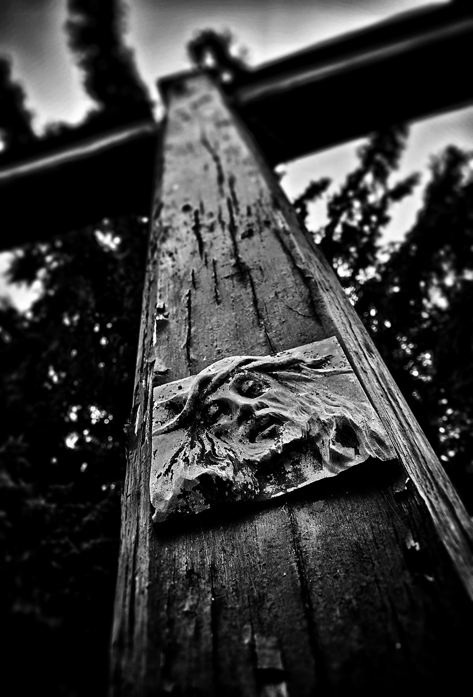 Víra - utrpení....