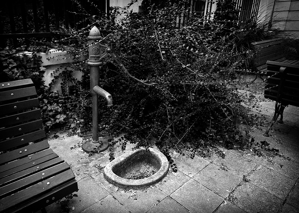 u fotografa v zahradě