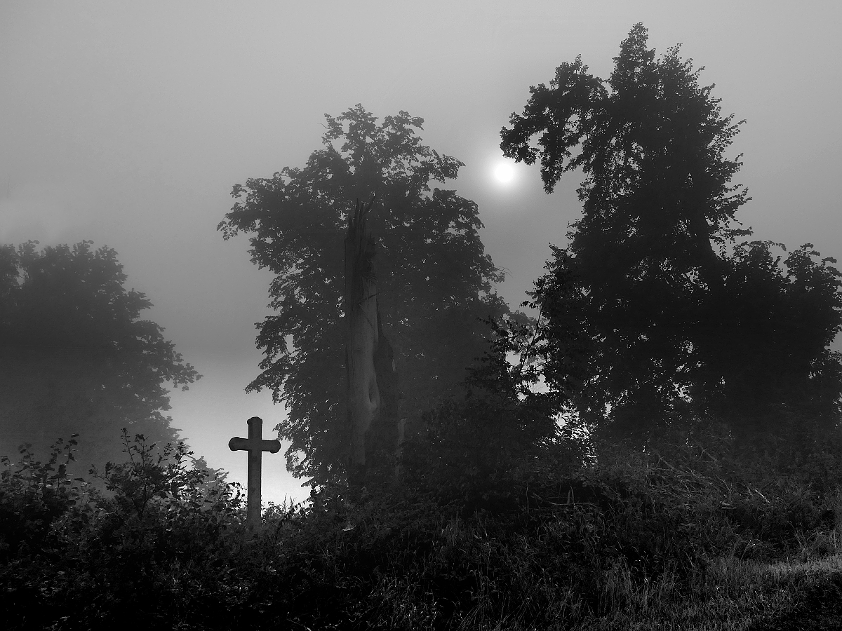 Zahrady ticha a zapomnění 18