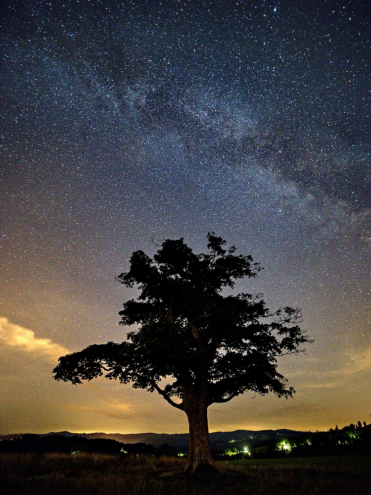 noční obloha v srpnu