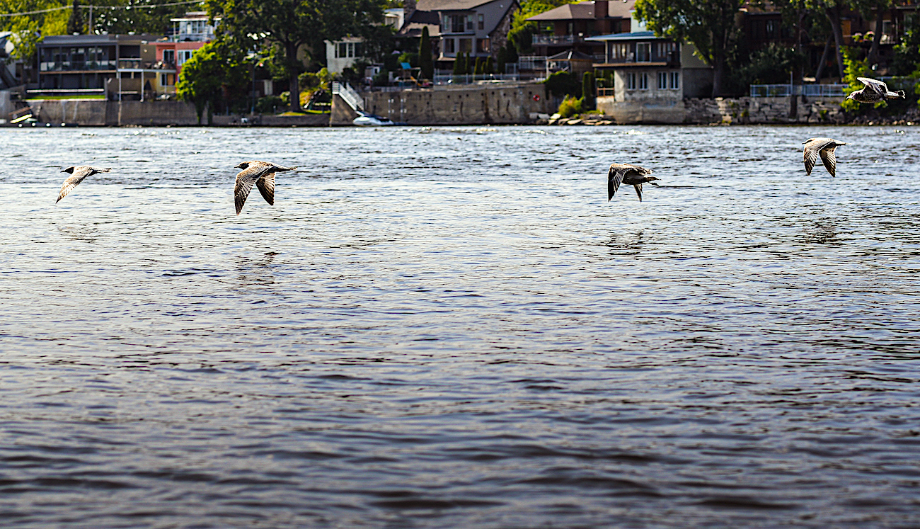 Nedelni odpoledne na vode