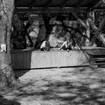 Líné letní odpoledne