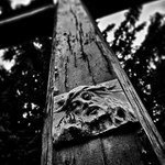 Víra - utrpení....