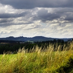 Vysočina u Lipnice n/S