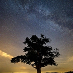 noční obloha v srpnu