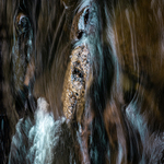 5D