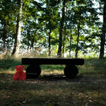 Zapomenutý hračky..