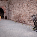 Poslední návštěvník (1)