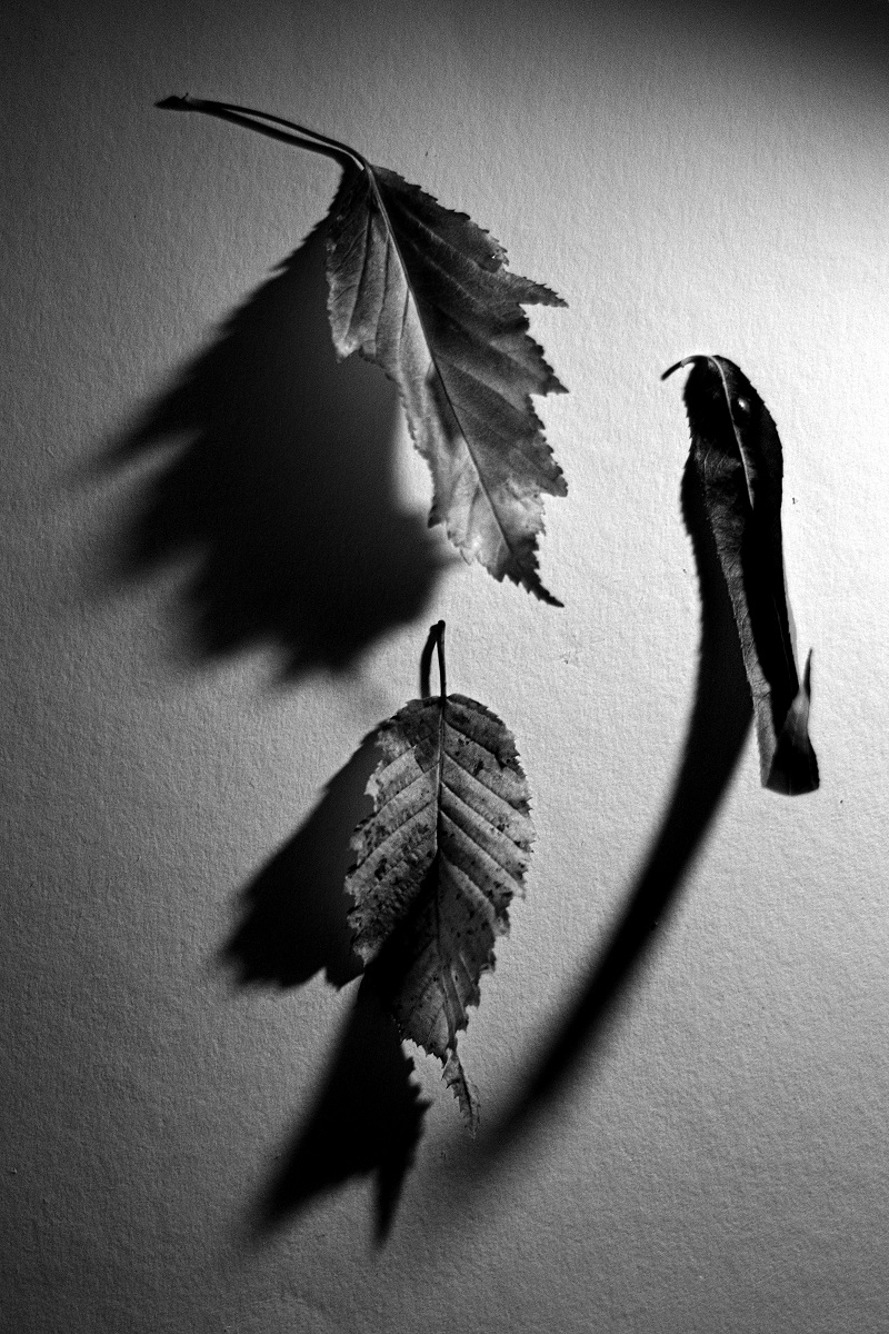 listopad (se blíží)