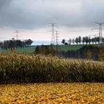Zápas