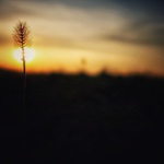 Tam se neschováš...