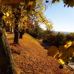 Zlato lotra Babinského