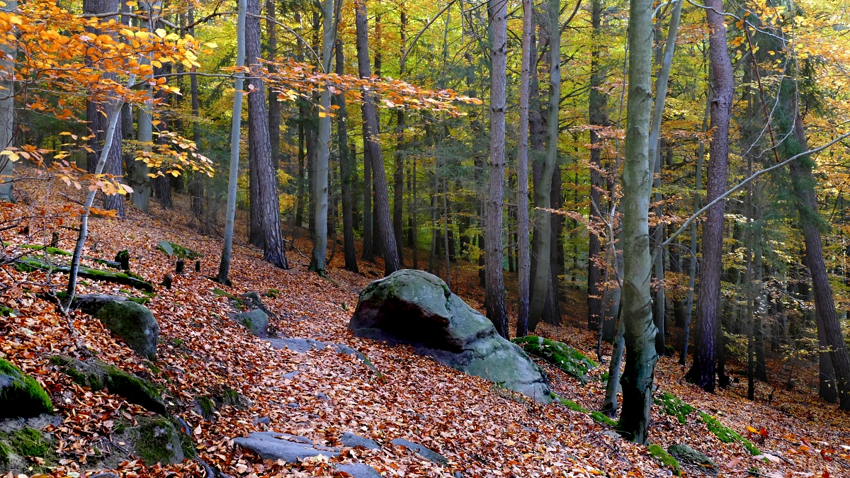 Podzim na Lipnických lomech