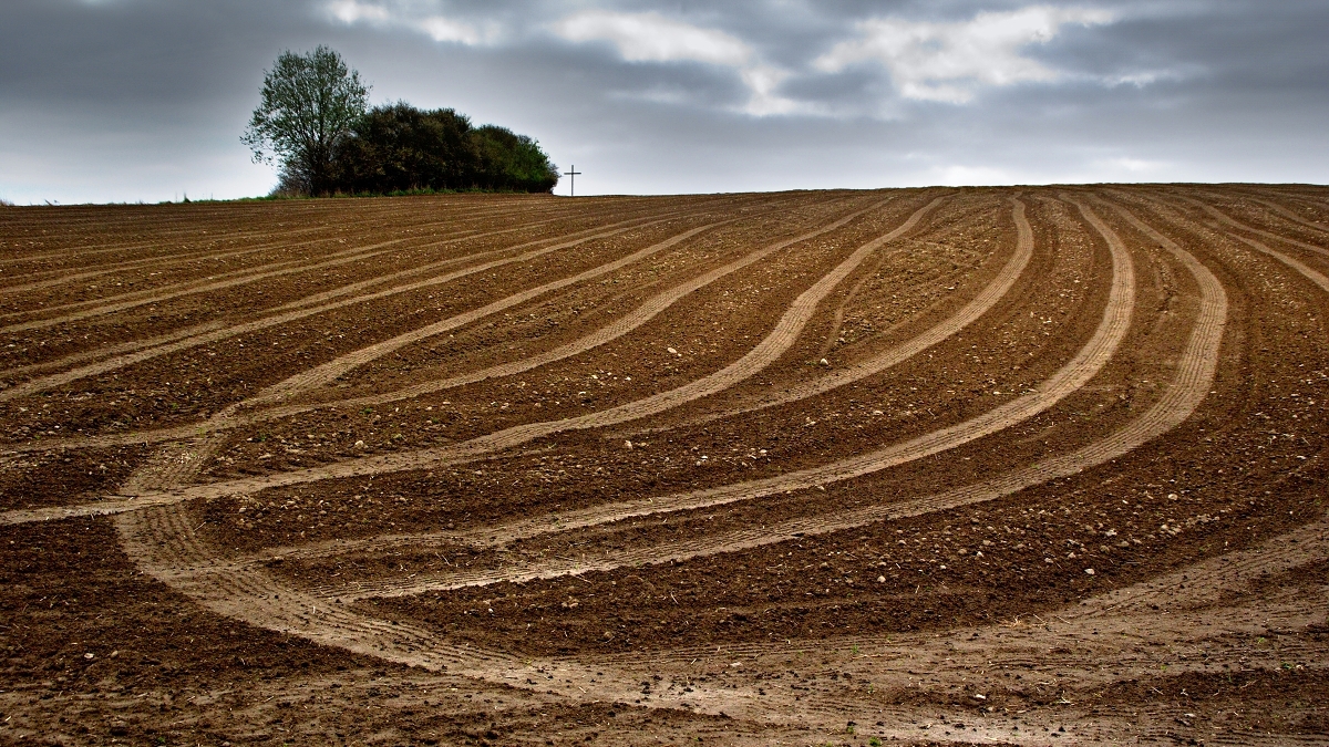 Kříž na poli u Termesiv