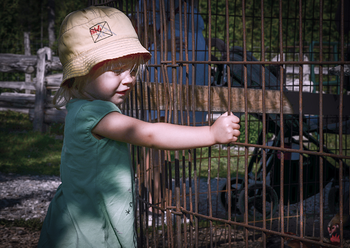 Pustte me k te slepici