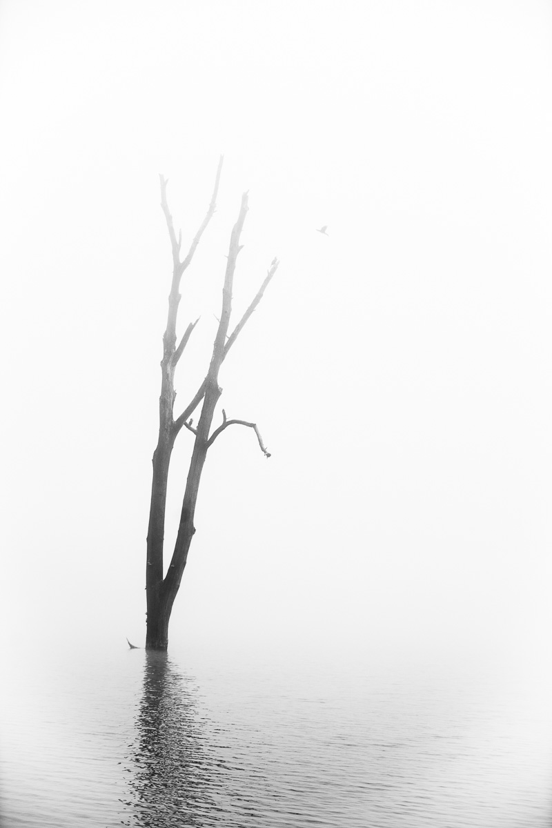 Ta romanticka rana IV.