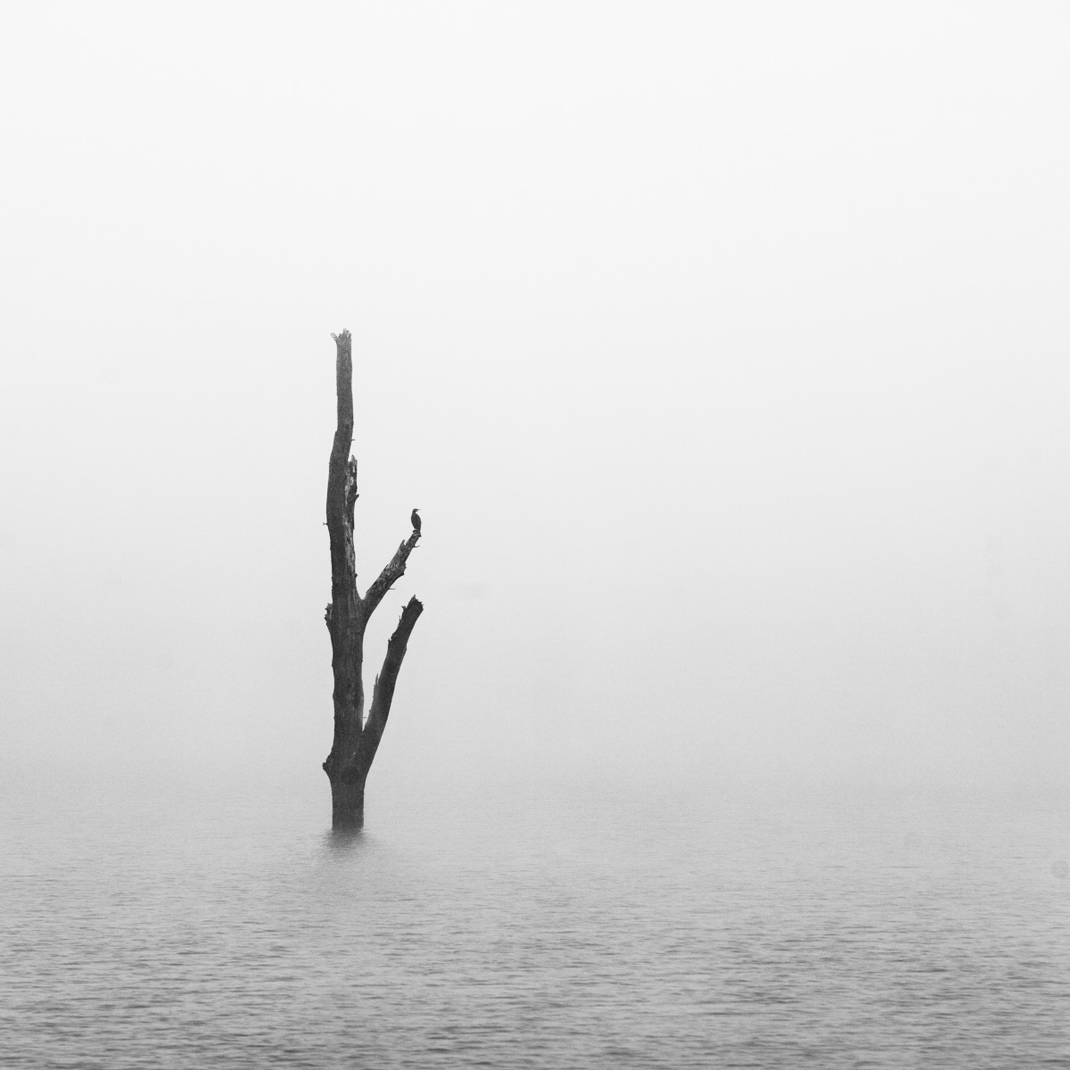 Ta romanticka rana V.