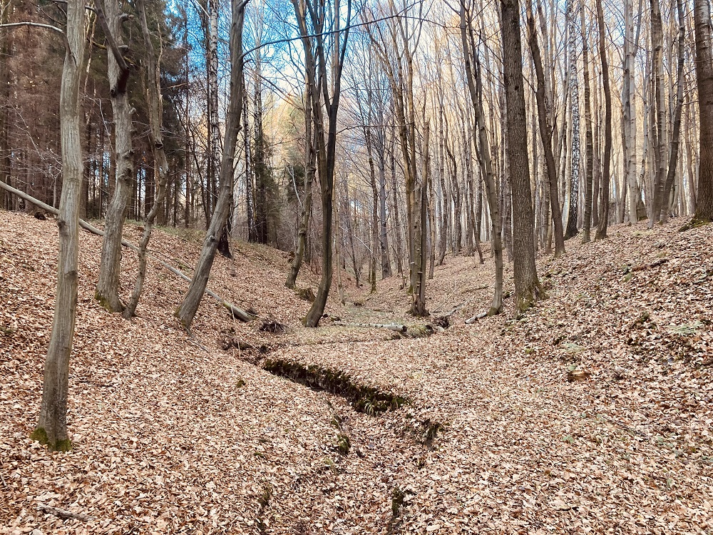 Dubina / bučina