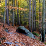Podzim na Lipnických lomech