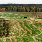 Podzimní čárování