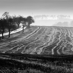 Podzimní čárování 2