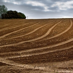 Kříž na poli u Termesiv