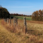 Okolo plotu pole lán..